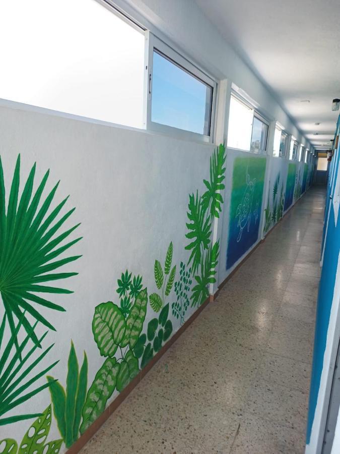 Blue Coconut Cancun Hotel 외부 사진