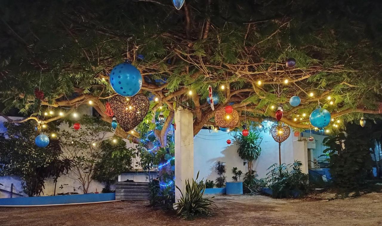 Blue Coconut Cancun Hotel 외부 사진