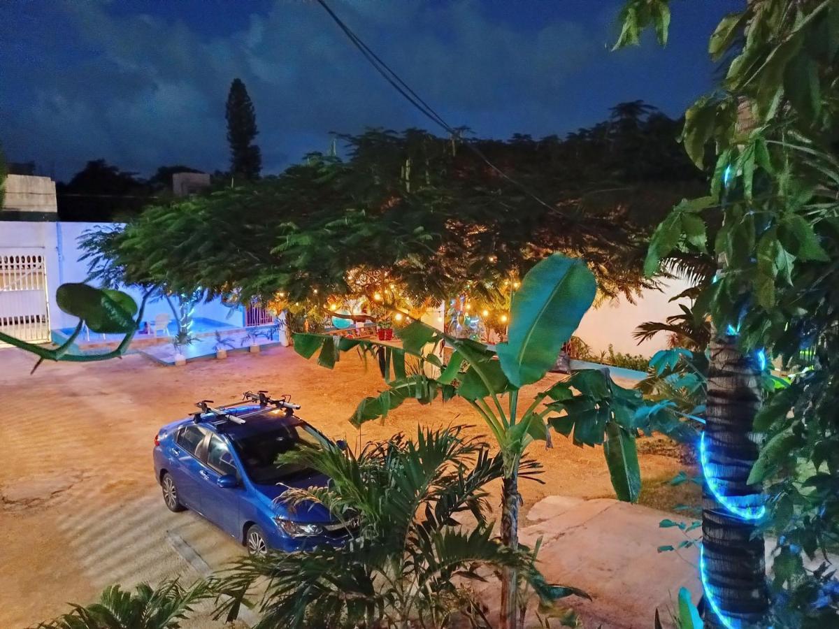 Blue Coconut Cancun Hotel 외부 사진