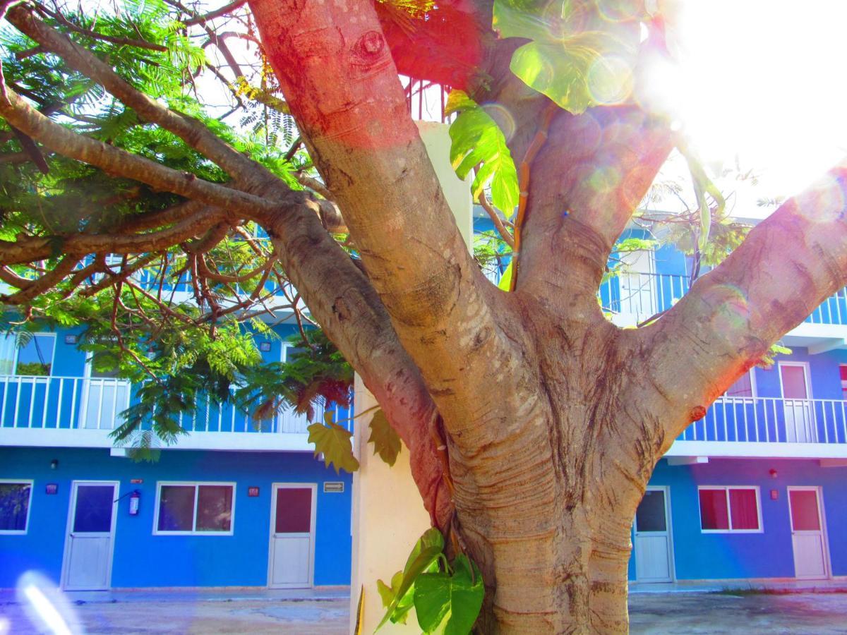 Blue Coconut Cancun Hotel 외부 사진
